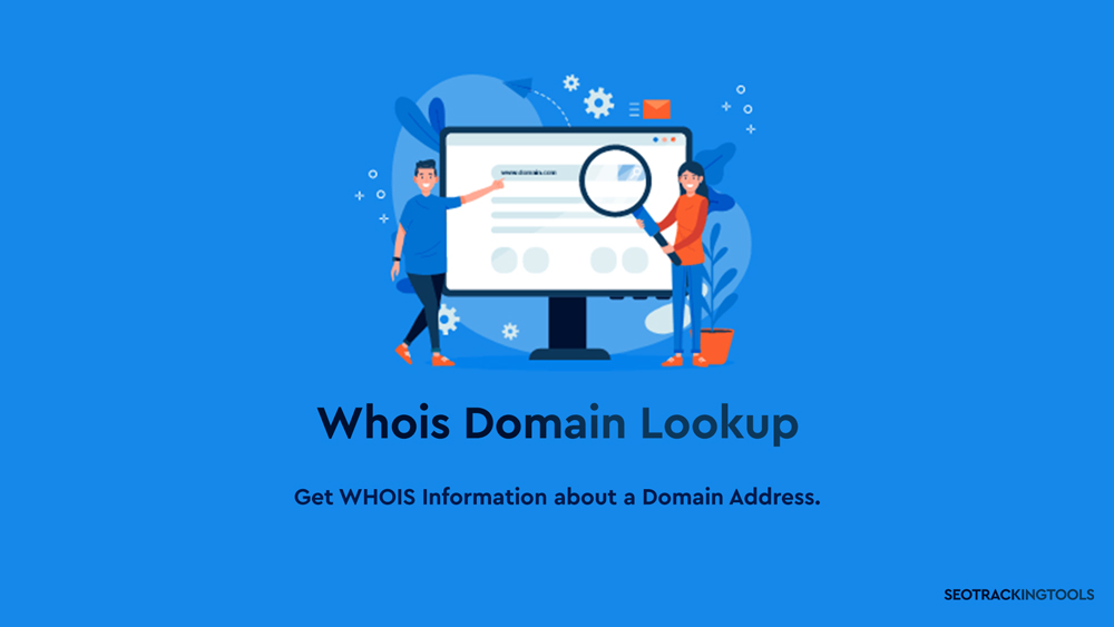 Domain WHOIS Lookup